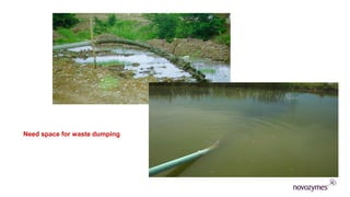 Need space for waste dumping
 