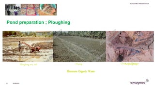 NOVOZYMES PRESENTATION
22/06/201631
Proper Pond Preparation
Ploughing wet soil Drying Re-ploughingClean pond bottom
Eliminate Organic Waste
Pond preparation ; Ploughing
 