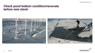 Check pond bottom condition/renovate
before new stock
NOVOZYMES PRESENTATION
22/06/201633
 