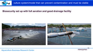 culture system/model that can prevent contamination and must be stable
Aquaculture Business Research Center
Biosecurity set up with full aeration and good drainage facility
 