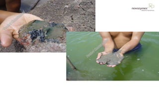 NOVOZYMES PRESENTATION22/06/201647
 