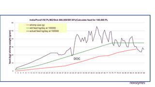 0
10
20
30
40
50
60
1 3 5 7 9 11 13 15 17 19 21 23 25 27 29 31 33 35 37 39 41 43 45 47 49 51 53 55 57 59 61 63 65 67 69 71 73 75 77 79 81 83 85 87 89 91 93 95 97 99
feed(kg)/shrimpweight(gram)
India/Pond1/50 PL/M2/Stck 680,000/SR 85%/Calculate feed for 100,000 PL
shrimp size (g)
std feed kg/day at 100000
actual feed kg/day at 100000
DOC
 
