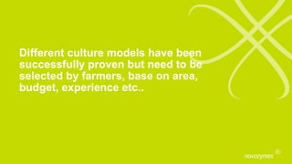 Different culture models have been
successfully proven but need to be
selected by farmers, base on area,
budget, experience etc..
 