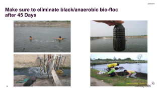 NOVOZYMES PRESENTATION
22/06/2016
56
Make sure to eliminate black/anaerobic bio-floc
after 45 Days
 