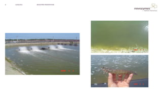 NOVOZYMES PRESENTATION22/06/20166
 