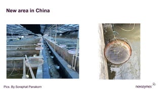 New area in China
Pics. By Soraphat Panakorn
 