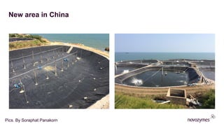 New area in China
Pics. By Soraphat Panakorn
 