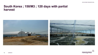 South Korea ; 150/M3 ; 120 days with partial
harvest
NOVOZYMES PRESENTATION
22/06/201665
 