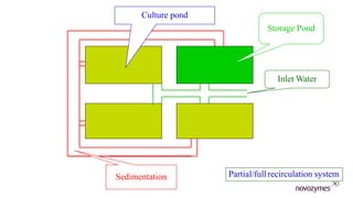 Sedimentation
Culture pond
Storage Pond
Inlet Water
Partial/fullrecirculation system
 