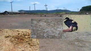 NOVOZYMES PRESENTATION22/06/20167
 