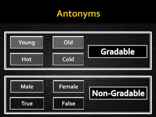 Tall Short-
Binary opposition pairs
Antonyms can be
gradable or non-gradable
Young Old-
ColdHot
Young Old
FalseTrue
Male Female