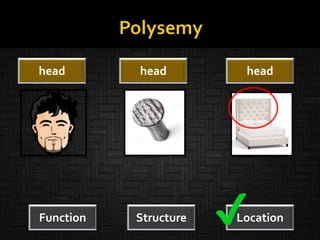 Function Structure Location
head head head