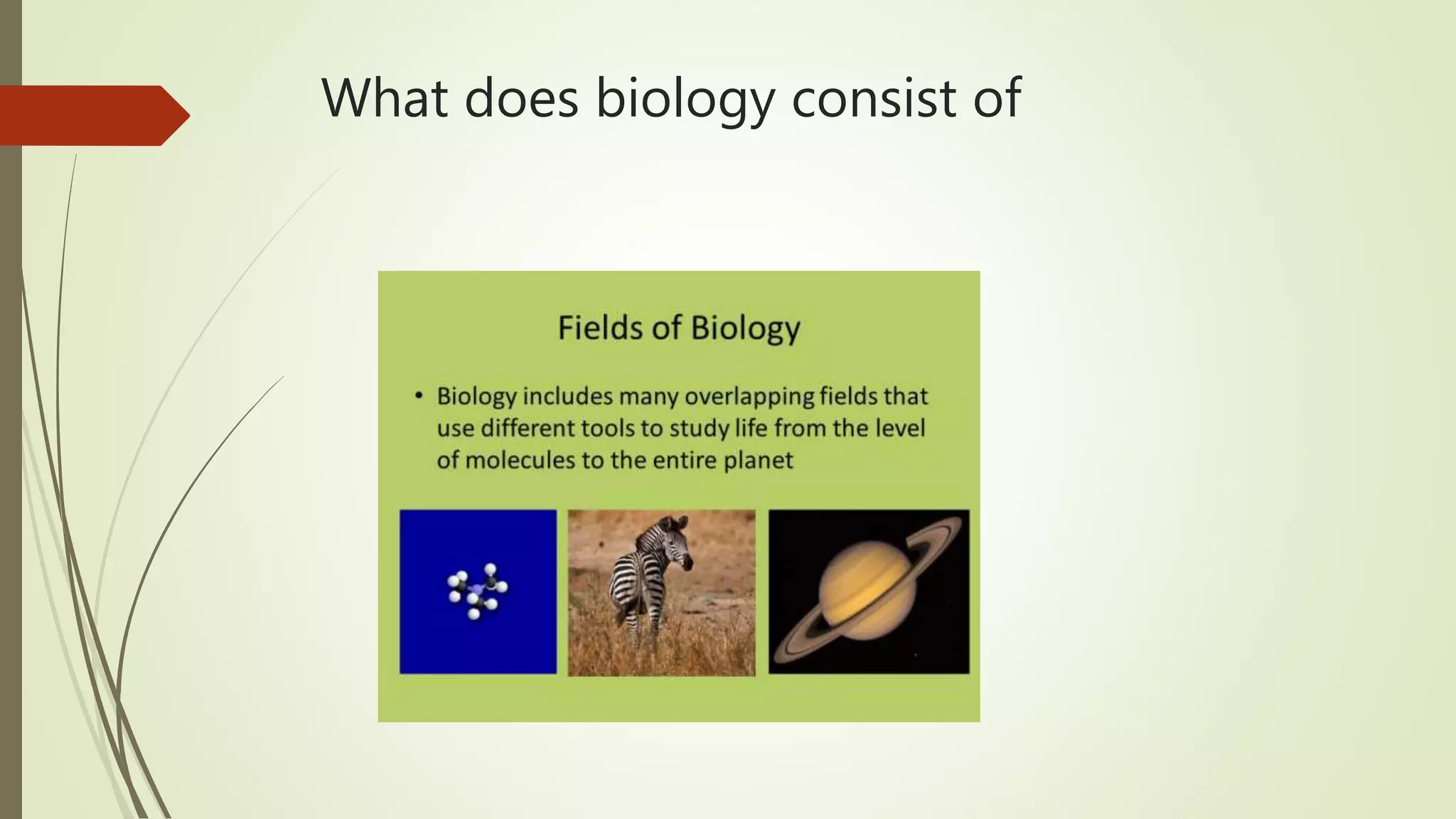 What does biology consist of