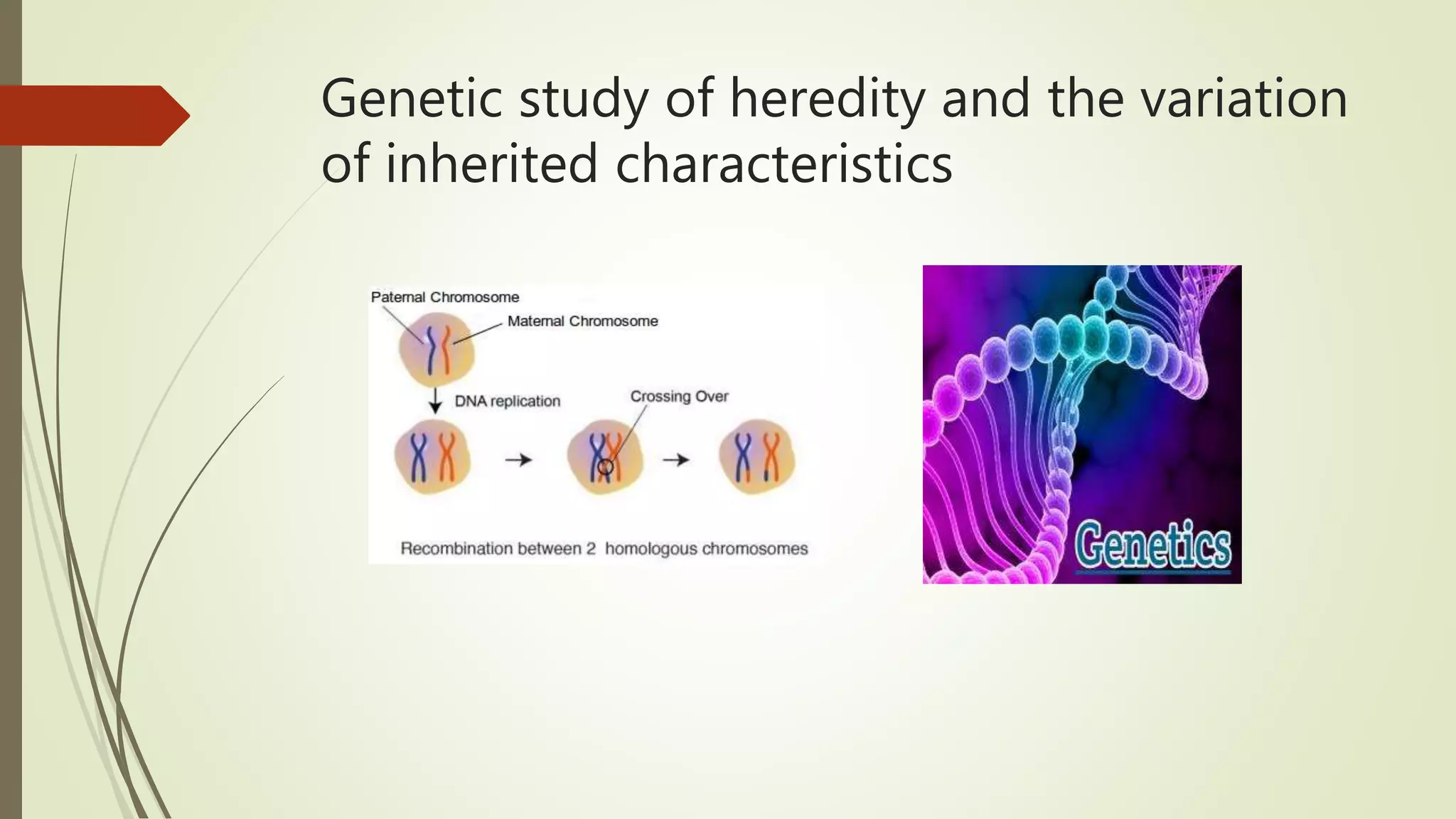 Genetic study of heredity and the variation
of inherited characteristics