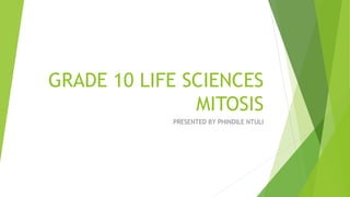 GRADE 10 LIFE SCIENCES
MITOSIS
PRESENTED BY PHINDILE NTULI
 