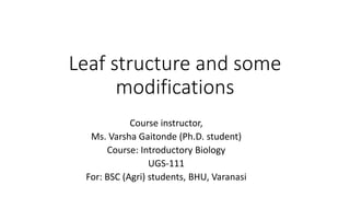 Leaf structure and some
modifications
Course instructor,
Ms. Varsha Gaitonde (Ph.D. student)
Course: Introductory Biology
UGS-111
For: BSC (Agri) students, BHU, Varanasi
 
