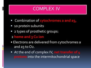 MITOCHONDRIA ,STRUCTURE ,Mt DNA ,PROTEIN TRANSPORT,ETC,OXIDATIVE ...