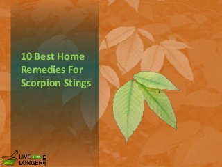 10 Best Home
Remedies For
Scorpion Stings
 