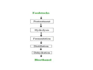 Bioethanol production from fruits and vegetable wastes | PPTX