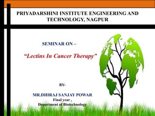 PRIYADARSHINI INSTITUTE ENGINEERING AND
TECHNOLOGY, NAGPUR
DEPARTMENT OF BIOTECHNOLOGY
BY-
MR.DHIRAJ SANJAY POWAR
Final year ,
Department of Biotechnology
SEMINAR ON –
“Lectins In Cancer Therapy”
Dhirajpowar 1
 