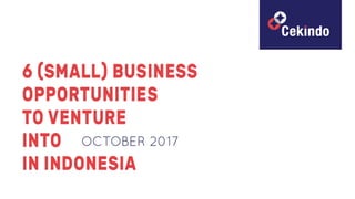 6 (Small) Business Opportunities to Venture Into In Indonesia