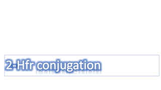 conjugation in e coli | PPTX