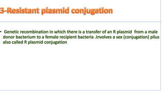 conjugation in e coli | PPTX