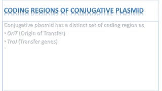 conjugation in e coli | PPTX