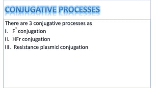 conjugation in e coli | PPTX