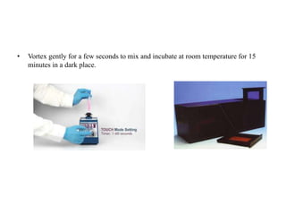 • Vortex gently for a few seconds to mix and incubate at room temperature for 15
minutes in a dark place.
 