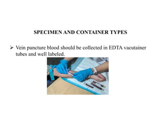 SPECIMEN AND CONTAINER TYPES
 Vein puncture blood should be collected in EDTA vacutainer
tubes and well labeled.
 