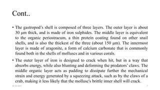 Cont..
• The gastropod’s shell is composed of three layers. The outer layer is about
30 μm thick, and is made of iron sulphides. The middle layer is equivalent
to the organic periostracum, a thin protein coating found on other snail
shells, and is also the thickest of the three (about 150 μm). The innermost
layer is made of aragonite, a form of calcium carbonate that is commonly
found both in the shells of molluscs and in various corals.
• The outer layer of iron is designed to crack when hit, but in a way that
absorbs energy, while also blunting and deforming the predators’ claws. The
middle organic layer acts as padding to dissipate further the mechanical
strain and energy generated by a squeezing attack, such as by the claws of a
crab, making it less likely that the mollusc's brittle inner shell will crack.
26-10-2017 7
 