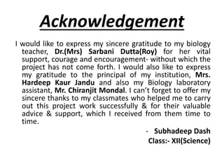 Bioproject Acknowledment CBSE Biology Class 12 investigatory project | PPTX