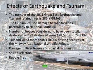 Midway atoll tsunami height