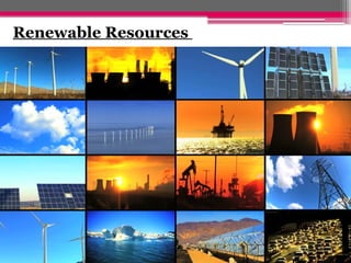 Renewable Resources
 