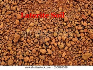 Laterite Soil
 