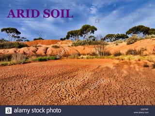 ARID SOIL
 