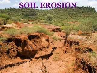 SOIL EROSION
 