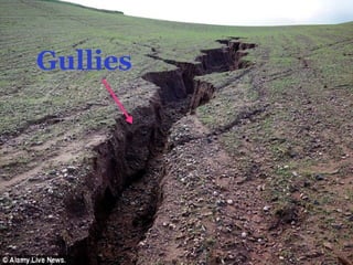 Gullies
 