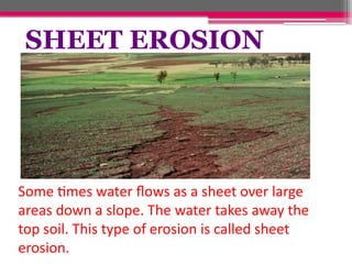 SHEET EROSION
Some times water flows as a sheet over large
areas down a slope. The water takes away the
top soil. This type of erosion is called sheet
erosion.
 