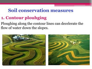 Soil conservation measures
1. Contour plouhging
Ploughing along the contour lines can decelerate the
flow of water down the slopes.
 