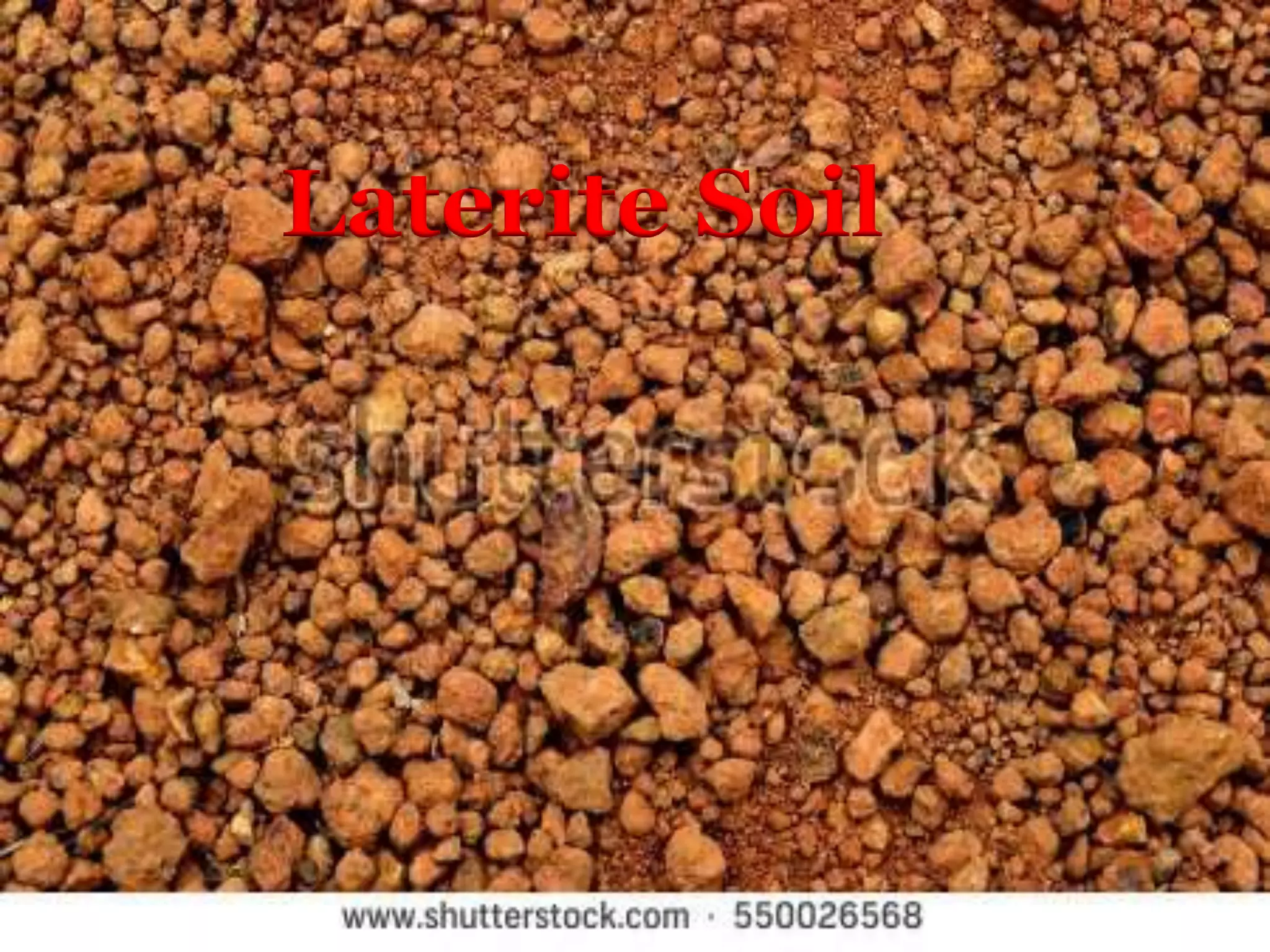 Laterite Soil
 