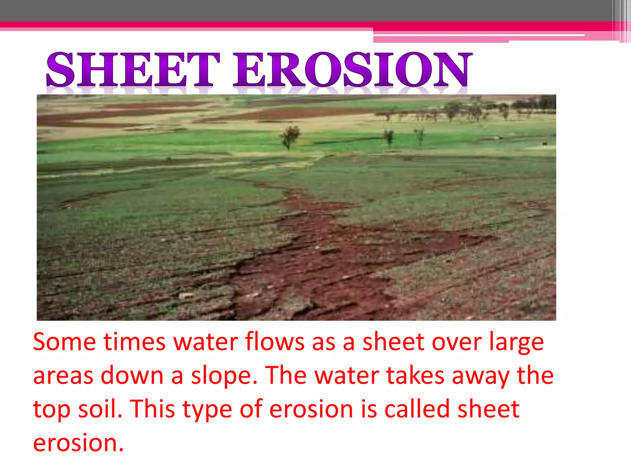 Some times water flows as a sheet over large
areas down a slope. The water takes away the
top soil. This type of erosion is called sheet
erosion.
 