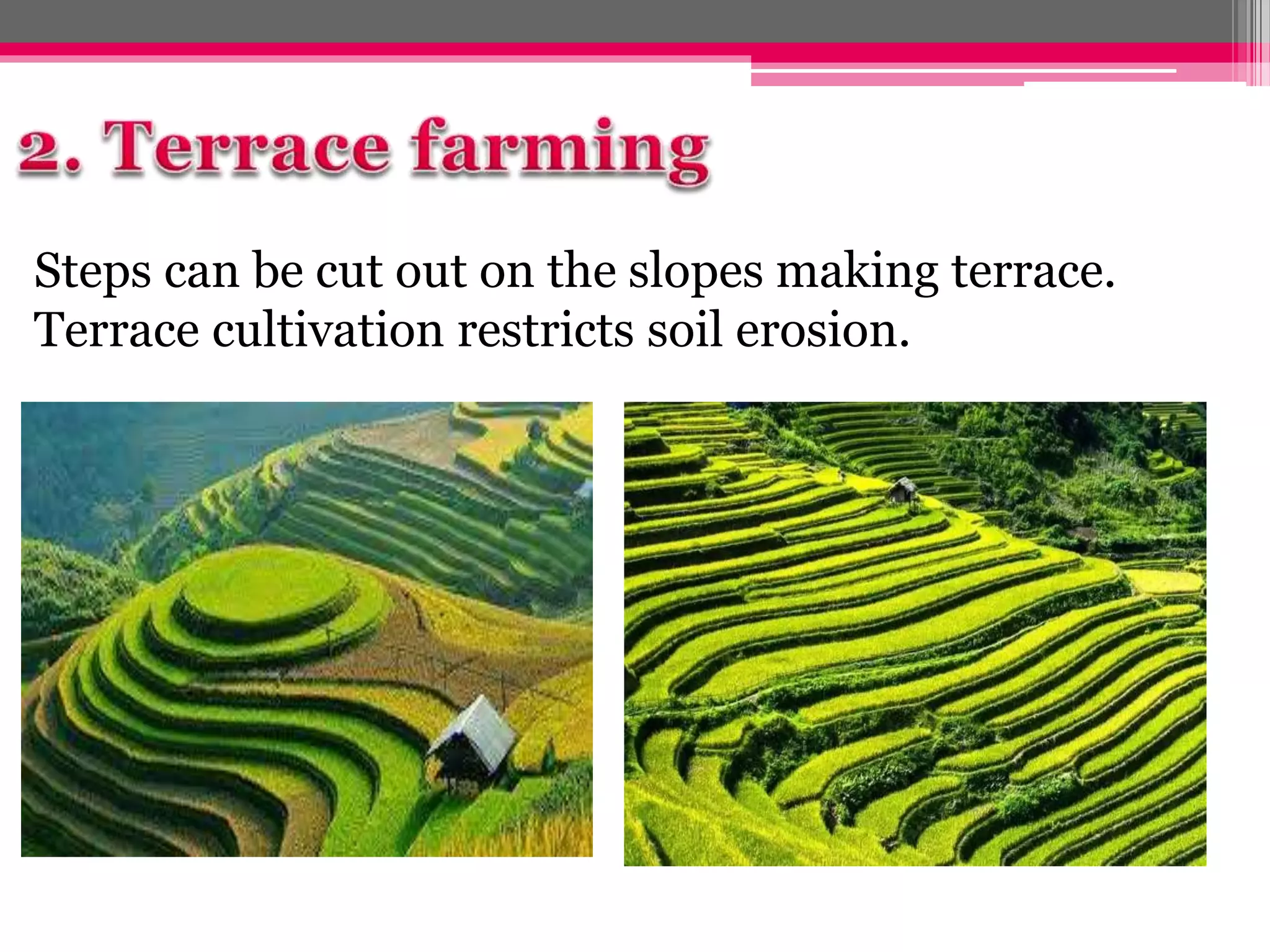 Steps can be cut out on the slopes making terrace.
Terrace cultivation restricts soil erosion.
 