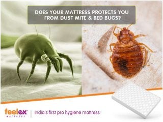 Best Ortho Mattress Brand in India
 