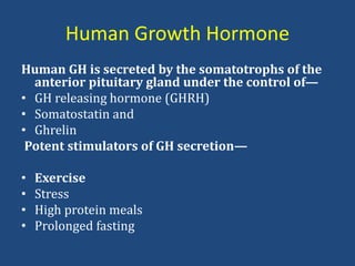 Human Growth Hormone
Human GH is secreted by the somatotrophs of the
anterior pituitary gland under the control of—
• GH releasing hormone (GHRH)
• Somatostatin and
• Ghrelin
Potent stimulators of GH secretion—
• Exercise
• Stress
• High protein meals
• Prolonged fasting
 