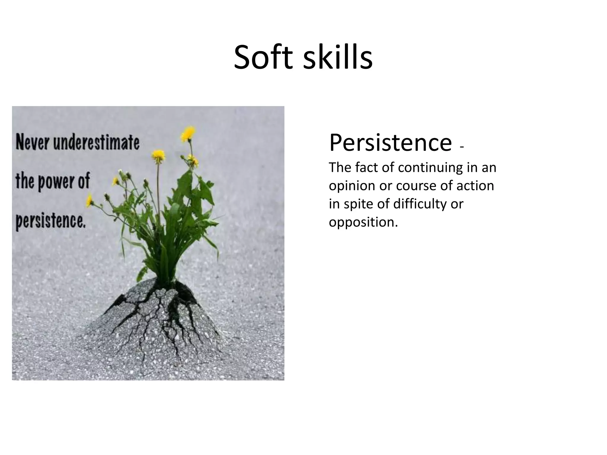 Soft skills
Persistence -
The fact of continuing in an
opinion or course of action
in spite of difficulty or
opposition.
 