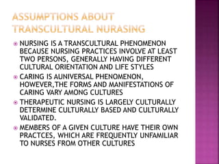 TRANSCULTURAL NURSING AND FUTURISTIC NURSING | PPTX