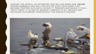AROUND THE WORLD, AN ESTIMATED ONE MILLION BIRDS AND 100,000
MARINE MAMMALS AND SEA TURTLES DIE EACH YEAR WHEN THEY
BECOME TRAPPED IN PLASTIC OR EAT IT, PERHAPS MISTAKING IT FOR A
TASTY TREAT. IT IS ONE OF BIGGEST THREATS TO ALL WHALES AND
DOLPHINS OCCURRING THROUGHOUT THE WORLD'S OCEANS.