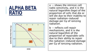 BIOLOGICAL BASIS OF RADIOTHERAPY | PPTX